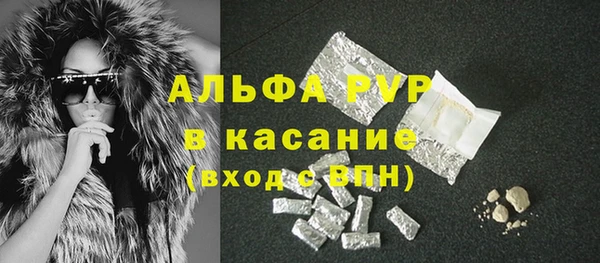 шишки Козельск