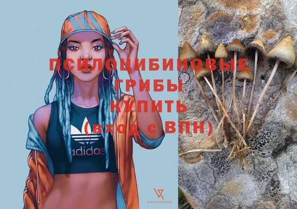 кокаин Козловка