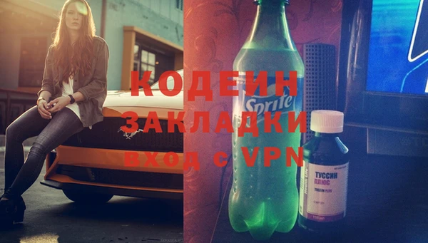 шишки Козельск