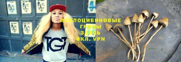 кокаин Козловка