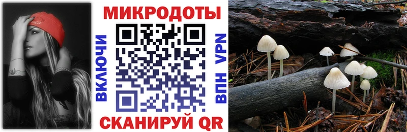 Купить где  Кизилюрт  Галлюциногенные грибы Psilocybe 
